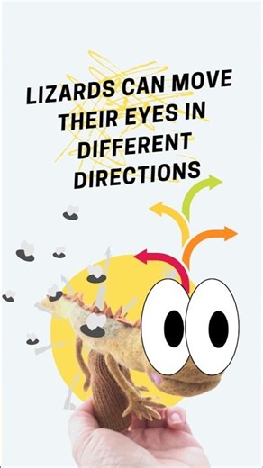 The Lizard That Can Regrow Its Tail! #HandmadeFingerPuppet