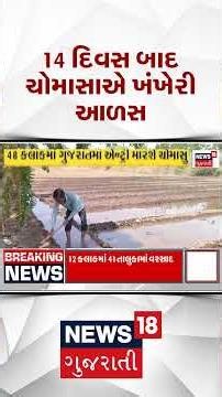 Good news for farmers | ખેડૂતો માટે આનંદના સમાચાર, 14 દિવસ બાદ ચોમાસાએ ખંખેરી આળસ | Rainy Weather