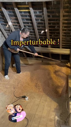 Grosse surprise à la fin des préparatifs, en vue de déverser notre isolation en bouchons de liège recyclé ! 😁 #isolation #bricolage #renovation #isolationcombles #AutoRenovation | Alex et Arnaud