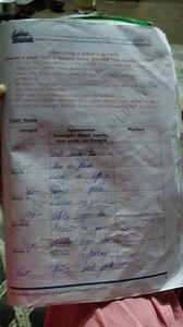 Observing a plant's growthChoose a plant that is already bein... | Filo