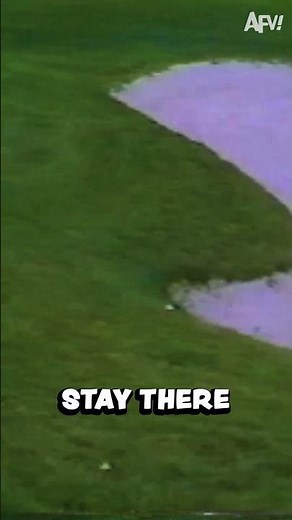 Sand trapped! ⛳🫠 #afv #golf #fail #sports #90s #throwback