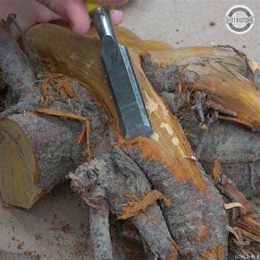 From Firewood Root to Stunning Vase | David's Woodturning