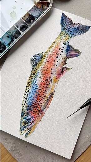 Rainbow trout #watercolour #watercolourpainting #watercolor