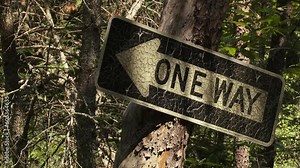 "One Way" Road Sign Attached to a Tree in the Middle of the Woods.