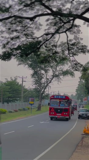 Exploring Lanka Ashok Leyland Buses