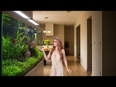 Top 6 Discus Tank Inside a Luxury Home - Queen of the Aquarium