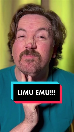 LIMU EMU Buddy Cop Show Pitch | Liberty Mutual