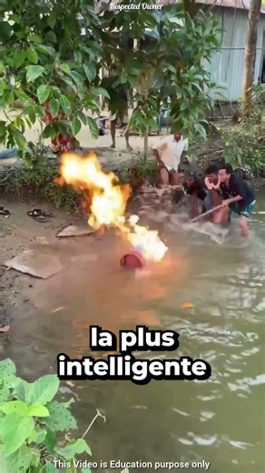 COMMENT ÉTEINDRE UN FEU !