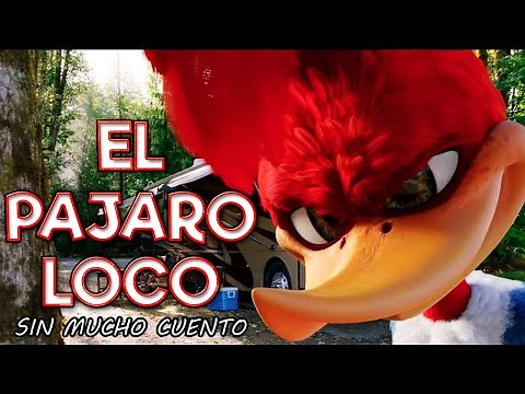 EL PÁJARO LOCO | RESUMEN EN 10 MINUTOS