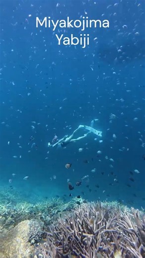 미야코지마 야비지 투어 | Miyakojima Yabiji Coral Reef Tour