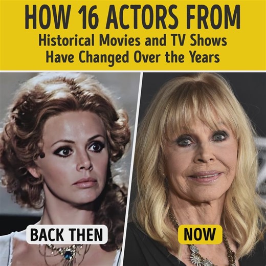 33K views · 99 reactions | Bright Side on Reels | Facebook