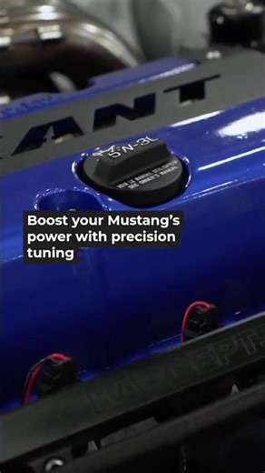 Essential Tips for Your Mustang's Longevity