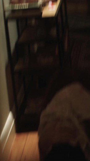 StanAustralia on TikTok