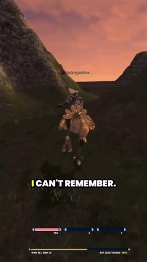 Nostalgic MMO reunion: finding former guildmates (Knights of Ni) after 18 years