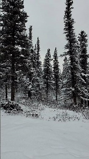 What Happens When You Move To Alaska