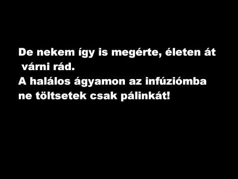 Pálinka dal- dalszöveggel