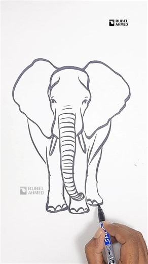 Draw an Elephant Easily | Step-by-Step Elephant Drawing Tutorial for Beginners #ElephantDrawing #EasyDrawing #PencilArt #DrawingTutorial #LearnToDraw #AnimalDrawing #ArtForKids #Sketching #StepByStepDrawing #EasyArt #CreativeDrawing #DrawingForBeginners #CuteElephant #HowToDrawElephant #foryouシ #foryouシpage #reelschallenge #animaldrawing #reelsfypシ #viralreelschallenge | Rubel Ahmed