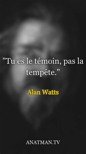 "Tu es le témoin, pas la tempête."