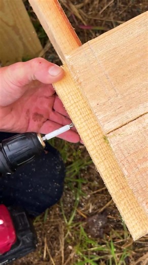 Stunning Table Around a Tree | Chicas Panda