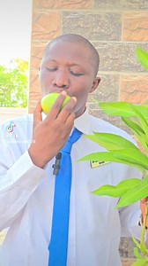 443K views · 6.3K reactions | Mangoes leaves work for Constipation Eye purify Boost immune system Etc........ | Eleshinogo Arola Tv | Facebook