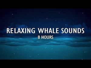 Relaxing Whale Sounds | 8 Hours | Deep Ocean Ambience & Music.