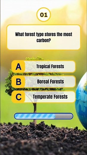 Earth Hidden Secrets Quiz Test ! #nature#environment#geoearth