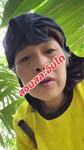 สวนสละอินโด#สละอินโด #ผลไม้#ชาวสวน #เกษตร @คุณยายสละอินโดสายน้ำผึ้ง @คุณยายสละอินโดสายน้ำผึ้ง @คุณยายสละอินโดสายน้ำผึ้ง