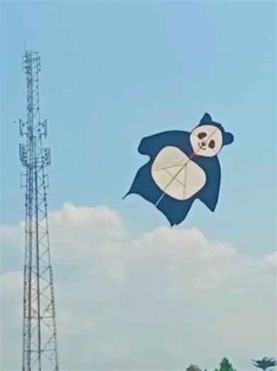 Panda Kite Making & Flying Test | Kite Lovers Guide