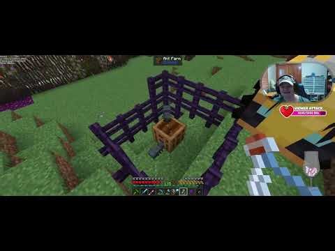 Sassy Streams: Clipboard is King! - Bewitchment Reforged