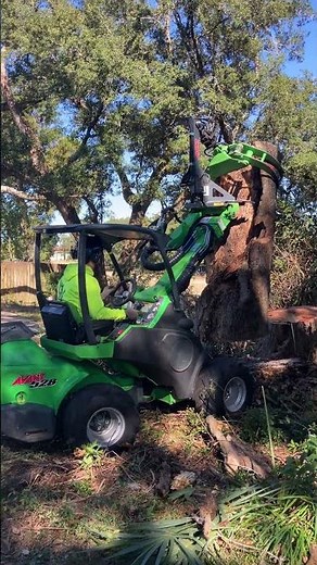 Avant 528 Loader picking logs #treeremoval