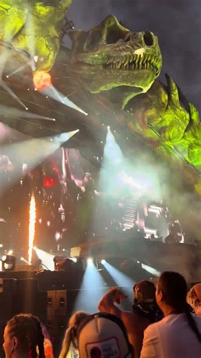 Lost lands 2026 was insane!!! #lostlandsfestival #dubstep #bass