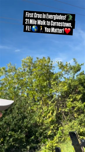 Gators & Crocs🐊 but no holes in my socks!🧦 3 Days out from 63 miles Ultramarathon through Everglades! Today I walked 21 miles from near Goodland, FL to Carnestown, where November 14th, around 3:30 AM, I will start my push (run/walk) straight to Miccosukee Casino & Resort! tomorrow I walk down to Everglades city and Chokoloskee which will be a smaller distance tomorrow and then I will hang out all day Thursday before the big push! God Bless , You Matter! Super stoked for this!🌎🏃🚶🐊🐍🦟🌞😎 #