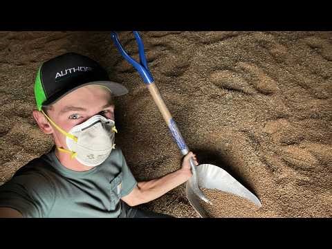 Hauling Wheat To Get Ready For Harvest!