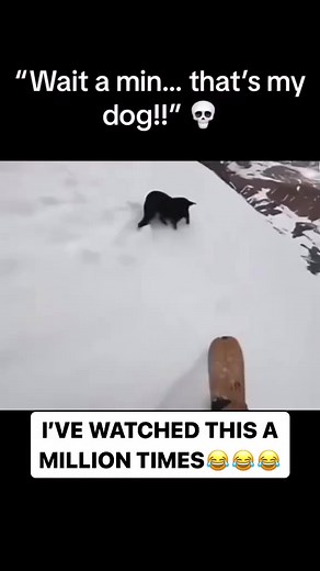 3M views · 44K reactions | Memes vs savageness on Reels | Facebook