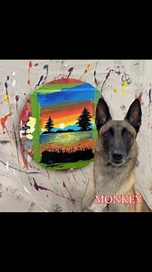 316K views · 11K reactions | June Sunset | Omar and Monkey | Facebook