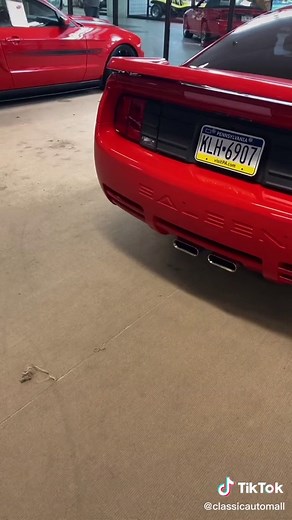 2005 Ford Mustang Saleen S281 - Rare Muscle Car Feature