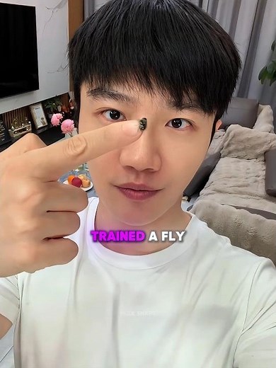 Bro Trained a Fly as a Food Inspector🍎🤯
