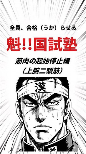 【国家試験対策】筋肉の起始停止編（上腕二頭筋） #理学療法士 #国家試験 #運動学 #解剖学 #医学 #国試塾 #理学療法