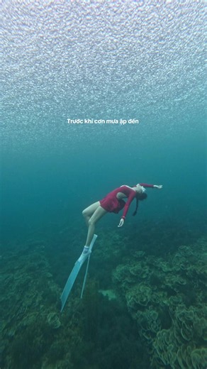 Biển không chữa lành, nhưng biển làm lòng nhẹ đi #anhquy015 #fyp #phuquymermaids