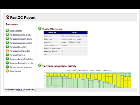 Tool bioinformatics: Hướng dẫn cài fastqc cho máy tính window