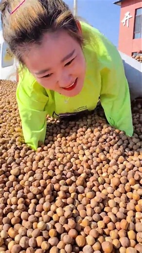 0.00024B Gz Pistachio Guts Unboxing ASMR video enjoy 🤏#pistachio #dryfruits