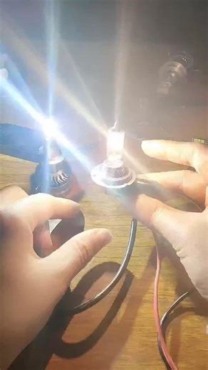 Temperature test between led headlight and halogen lamp，which one do you prefer？ #reels | Animals Home