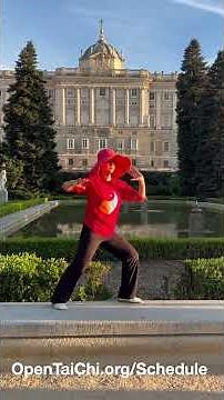 Sifu Amin Wu • The Summer of Tai Chi