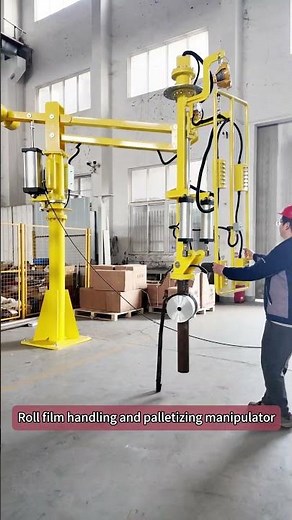 Roll film handling and palletizing manipulator
