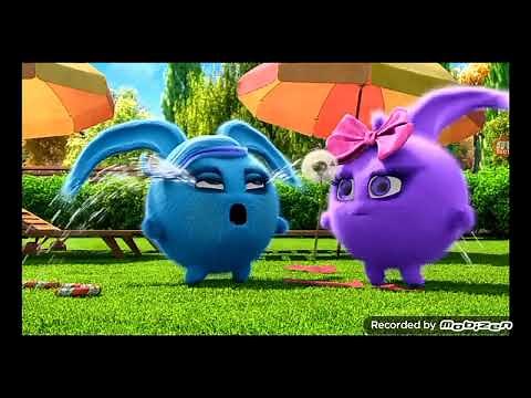 sunny bunnies shiny's crying