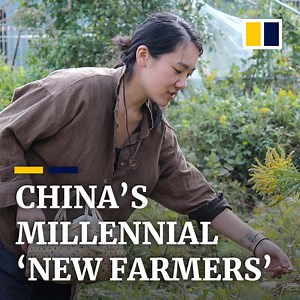 22K views · 362 reactions | Around 20 million people in China have joined the “new farmer” movement, according to the Chinese government. | South China Morning Post | Facebook