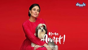 308K views · 1.7K reactions | With @droolsindia's Focus Dog food,...