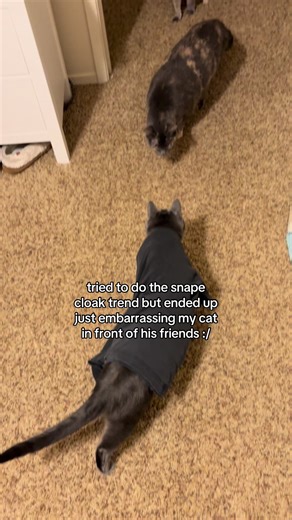 Cat's Hilarious Snape Costume Moment