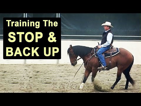 How to Train Your Horse to Stop & Back Up - Reining & Cutting Horse Stop