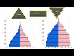 Connecting Demographic Transition Model Stages to Population Pyramids